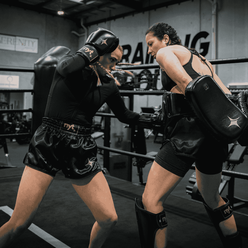 NYT Muay Thai Belly Pad Belly Pads NYT 