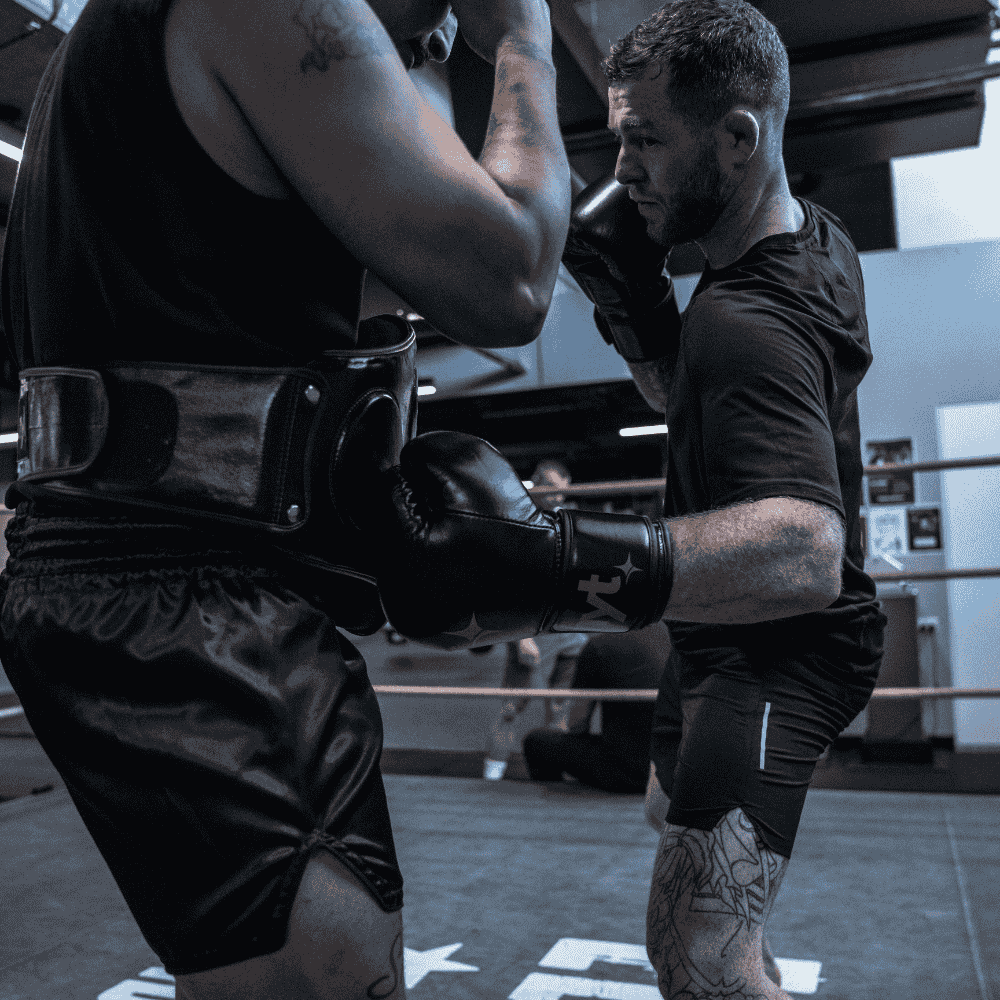 NYT Muay Thai Belly Pad Belly Pads NYT 