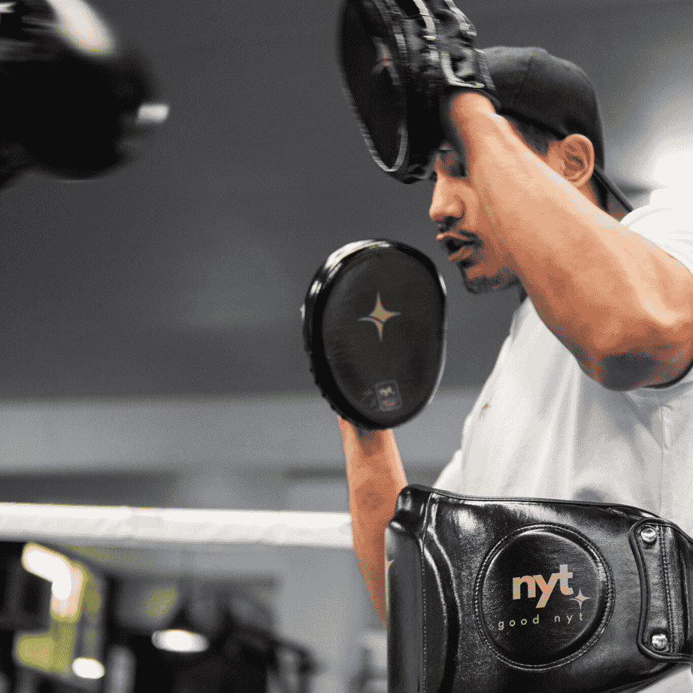 NYT Pro Boxing Micro Mitts Focus Mitts NYT 